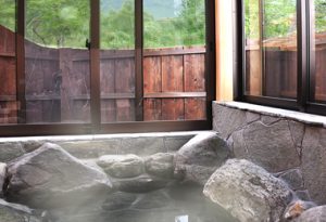 窓からの景色に四季を感じる半露天風呂