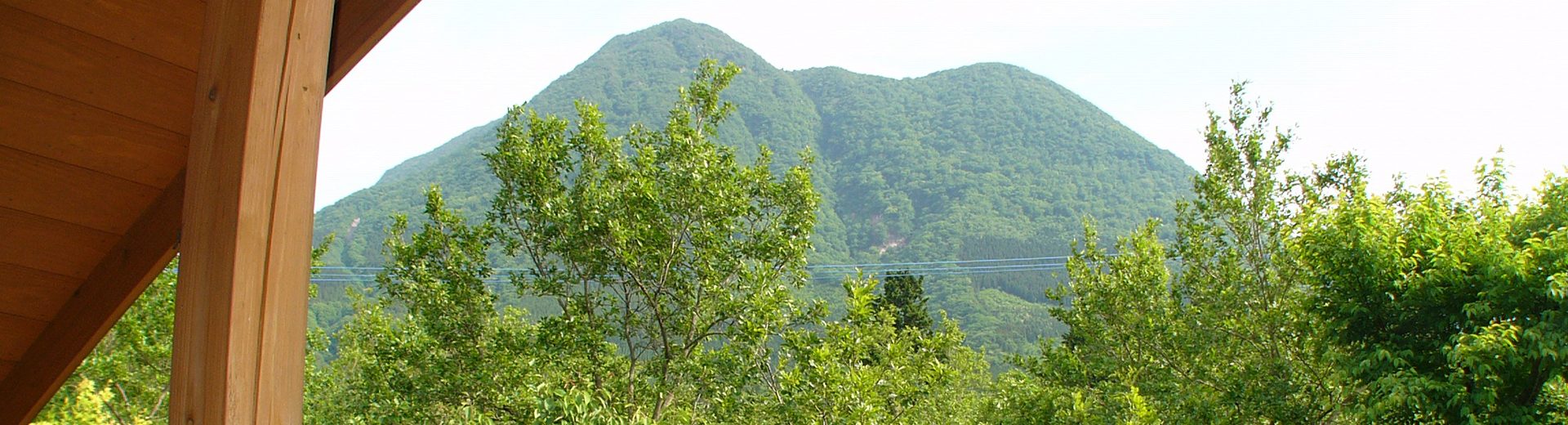 header-img2